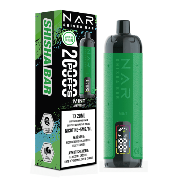 NAR Shisha Bar 20K - Mint Disposable Vape
